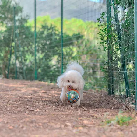 Glamping Rosselba Le Palme * Sant'Anna (Isola d'Elba)