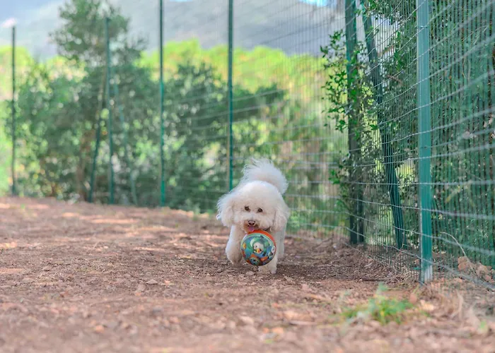 Glamping Rosselba Le Palme * Sant'Anna (Isola d'Elba)